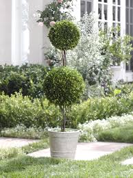Check spelling or type a new query. Interested In Decorating Your Home And Garden Here You 39 Ll Find Some Topiary Planter Ideas That Will Add A Nea Topiary Planter Ideas Boxwood Topiary Plants