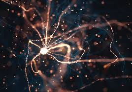 Neurons are the building blocks of the nervous system. What Do New Neurons In The Brains Of Adults Actually Do The Scientist Magazine