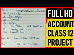 Accounts Project For Class 12 2017 18 1 Youtube Accounting Class Projects Class