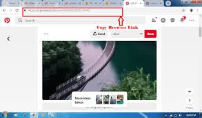 Pinterest Video Downloader Download Pinterest Videos Gif Images Online In 2020 Pinterest Video Search Video Search Pins