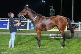 Image result for Handic 64