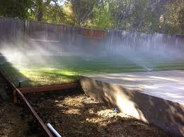 Often, the grass might be struggling because it's not getting enough water or not getting water at the right time. When To Water Your Yard Dependable Handsome Lawn Service In Arlington Texas