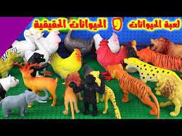 حيوانات الغابة و الحيوانات الحقيقية العاب اطفال youtube in 2021 baby dress baby