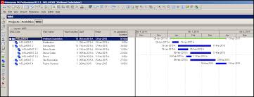 The Primavera P6 Wbs Chart View