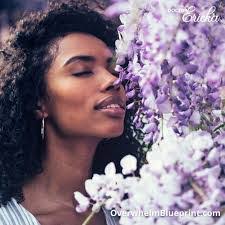 Danny Cappaert's Instagram, Twitter & Facebook