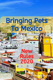 We are often asked about this form and it's one of the most searched for documents for people planning to transport their pet to another country. Traveling With Dogs To Mexico The Facts Traveling With 2 Dogs And A Husband