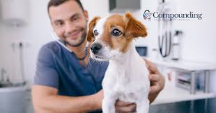 The tablets are chewable and easy to administer, can be even hidden in their. Diroban An Fda Approved Heartworm Medication For Dogs