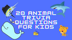 You can use this swimming information to make your own swimming trivia questions. 20 Animal Trivia Questions For Kids Volume 1 Youtube