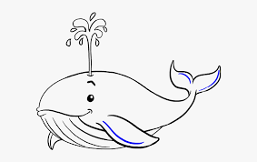 Check spelling or type a new query. How To Draw Whale Drawing Of Blue Whale Hd Png Download Kindpng