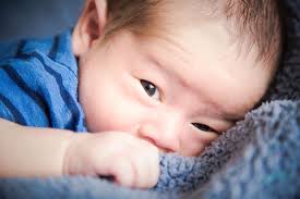 Shelby Hull Photography