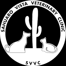 Early detection and treatment of disease as. Animal Hospital In Tucson Az Sahuaro Vista Veterinary Clinic