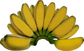 Tekstur pisang goreng madu crispy atau renyah di luar, tetapi lembut di bagian dalam. Lendah Dua Puluh Jenis Pisang Konsumsi Dan Bernilai Ekonomi