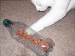 Top 10 Fun Diy Cat Toys Top Inspired Homemade Cat Toys Diy Cat Toys Cat Diy
