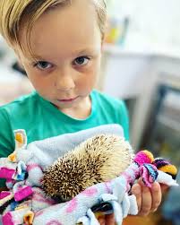 Petronus Petting Zoo