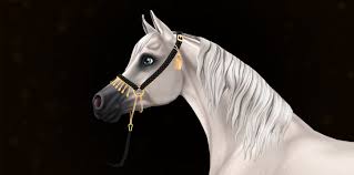 For other uses, see arab (disambiguation) and arabian (disambiguation). Awesome Arabians Star Stable