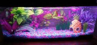 Egyptian themed fish tank decorations. Wow 10 Cool Aquarium Decoration Ideas How To Copy Them 2021