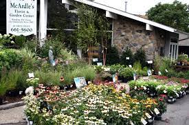We believe in beautiful spaces and the power of flowers and plants! Mcardles Florist Garden Center 48 Arch St Greenwich Ct 06830 Tel 203 661 5600 Healthy Plants Plants Garden Plants