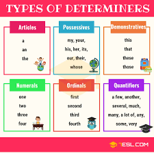 Determiners Definition Types List Examples 7 E S L