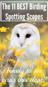 The 11 Best Spotting Scopes For Bird Watching 2020 Bird Watching Hq Owl Wallpaper Hufflepuff Aesthetic Owl