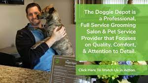 For your request dog friendly condos for rent near me we found several interesting places. The Doggie Depot
