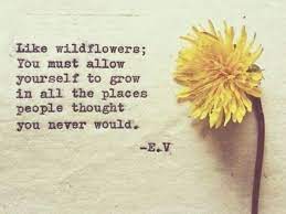 Whatever the flower, there is a good chance that there is a quote associated with that specific one. The Best Quotes About Flowers Funny How Flowers Do That