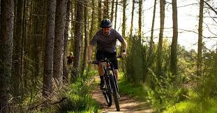 Cycling equipment cycling clothes indoor cycling cycling tips cycling workout cycling jerseys. Madison Cycle Clothing Madison Mtb Shorts Freewheel