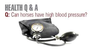 Both high and low maps can indicate what is a normal map? High Blood Pressure In Horses Is This A Possibility