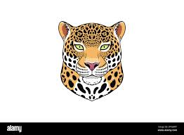 Jaguar animal head Stock Vector Images - Alamy