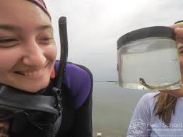 Ocean Science Communication with @WhySharksMatter