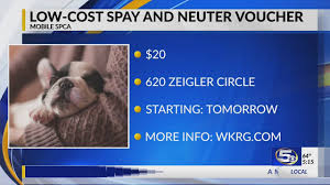 Mobile pet spa is a mobile dog grooming business providing mobile pet grooming services to the los angeles area. Video Mobile Spca Giving 20 Vouchers To Spay Or Neuter Your Pet Youtube