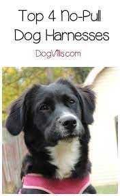 Pin On Caring For Family Pets