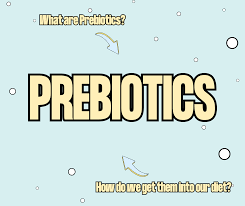 What are Prebiotics? – Hip Pop