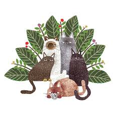 Lotto Cats 2 On Behance Cats Illustration Animal Illustration Cat Art