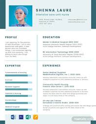 20 Download Template Cv Word Gratis 2020 Dyp Im