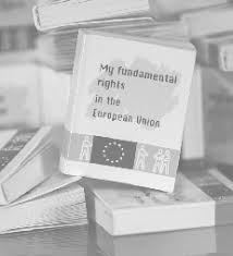 48/2020 din 9 aprilie 2020. Https Fra Europa Eu Sites Default Files Fra Uploads Fra 2020 Fundamental Rights Report 2020 En Pdf