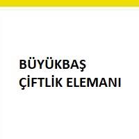 Babaeski Ye Buyukbas Hayvan Bakicisi