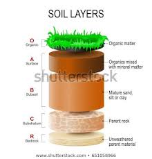 Soil Layers Soil Is A Mixture Of Plant Residue And Fine Mineral Particles Which Form Layers Vector Diagram Soil Layers Stem For Kids Science Notebooks