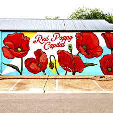 Image result for Poppy Red 1993 Town and Country