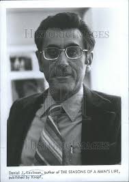 Daniel Levinson Diagram