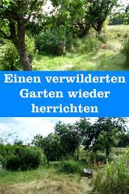 Darauf können sie sich schon einmal einstellen. Einen Verwilderten Garten Wieder Herrichten Gartenbob De Der Garten Ratgeber