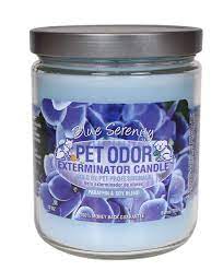 We did not find results for: Pet Oder Exterminator Blue Serenity Candle Buy Online At Best Price In Uae Amazon Ae