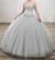 Elegant Silver Ball Gown