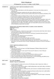 Financial service representative responsibilities and duties develop and maintain professional relationships with customers and ensure customer satisfaction. Client Services Representative Resume Samples Velvet Jobs