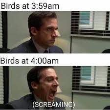 Top 15 Funny Memes Of The Last 24 Hours July 5 2020 Really Funny Memes Crazy Funny Memes Stupid Memes