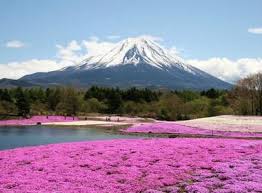 5 Places To See Mount Fuji Japan Experience