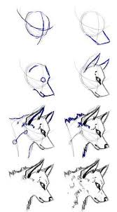 Ceci Est Juste Le Processus Simplifie De Dessiner Une Tete De Loup Que Je Suis Quelques P Comment Dessiner Un Loup Dessin De Loups Dessin D Animal