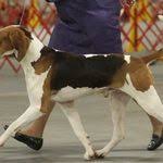 Do you need the best coffee machine descaler (solution)? Vanessa Hajek Vahaje54 Profile Pinterest