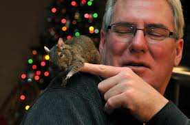 Terry Patrick Obituary