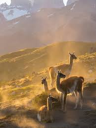 View highlights to follow inspiring accounts. David Attenborough 4 9 2020 Gg Magazine