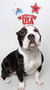 Turns an unsecure link into an anonymous one! Wags And Walks Home Facebook